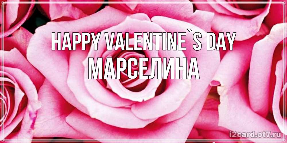 Greetings card с именем, Марселина Happy Valentine`s Day роза розовая на день Святого Валентина Greetings with text for free download 